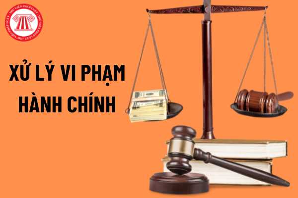 vi-pham-hanh-chinh (2).png